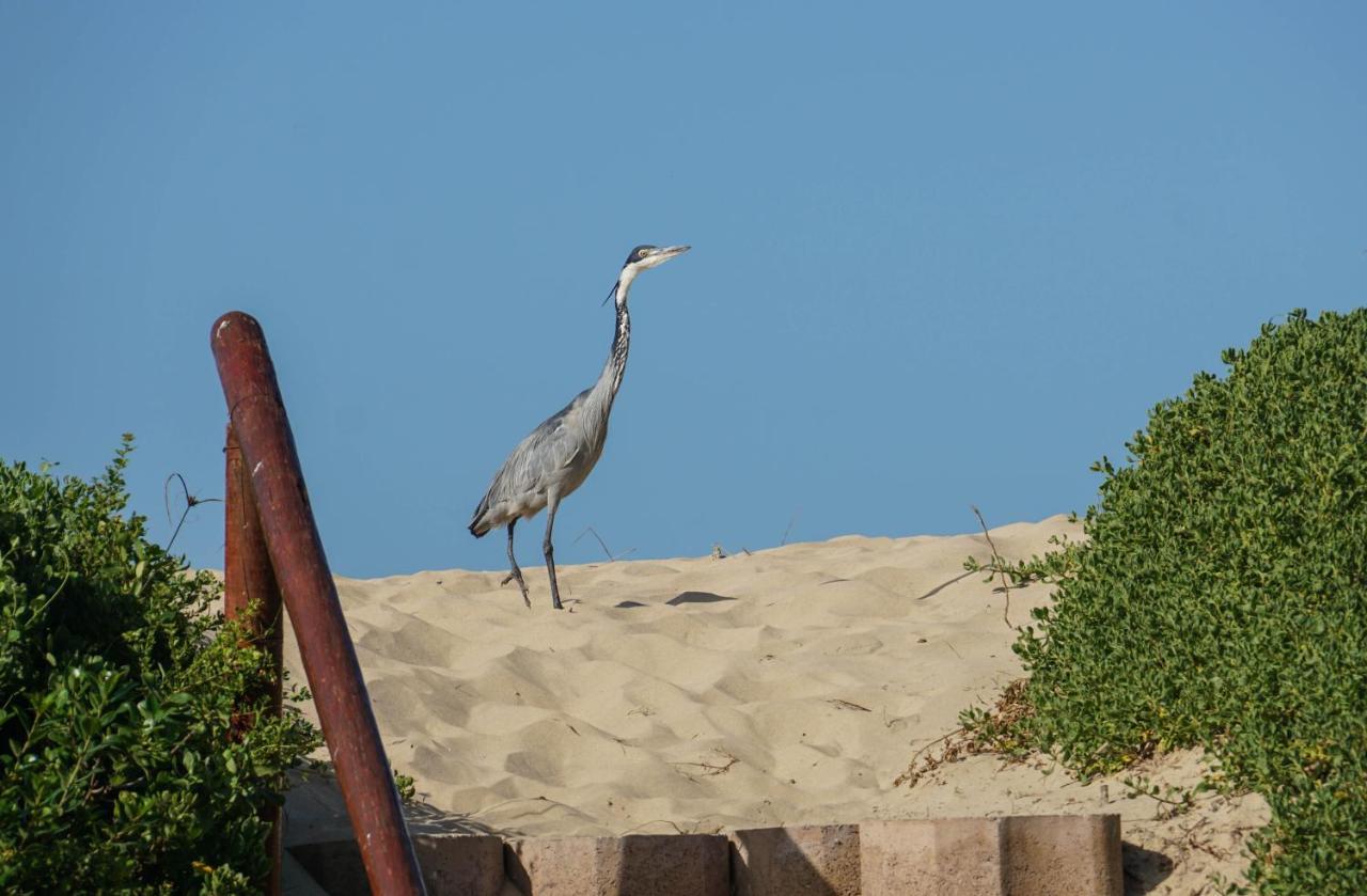 The Gull Hotel Sedgefield Luaran gambar